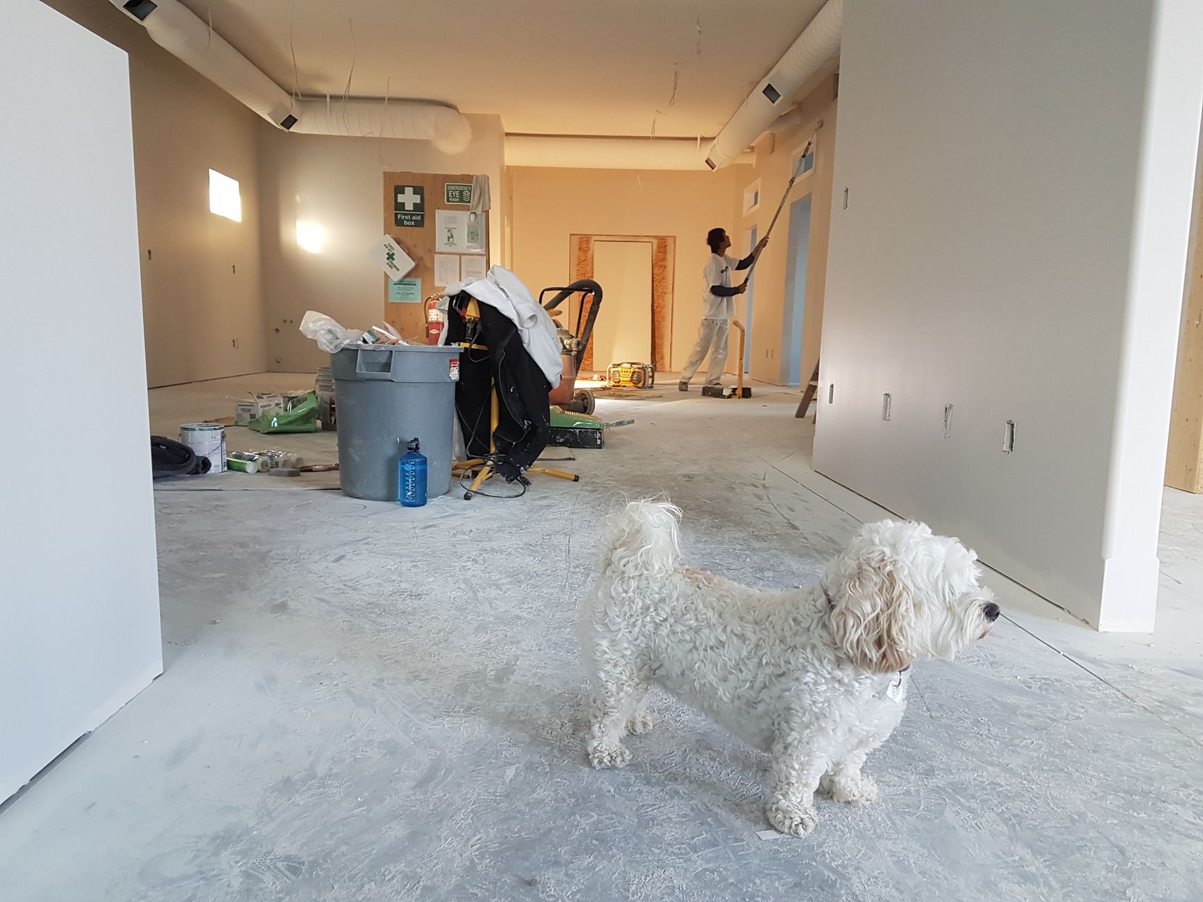 Rénovation appartement Paris 4e – Peinture et enduit décoratif | Intégrale Design